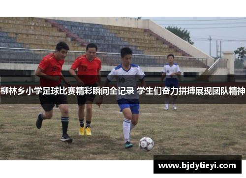 柳林乡小学足球比赛精彩瞬间全记录 学生们奋力拼搏展现团队精神