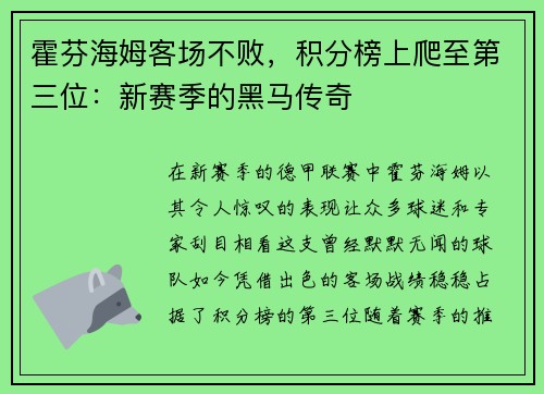 霍芬海姆客场不败，积分榜上爬至第三位：新赛季的黑马传奇